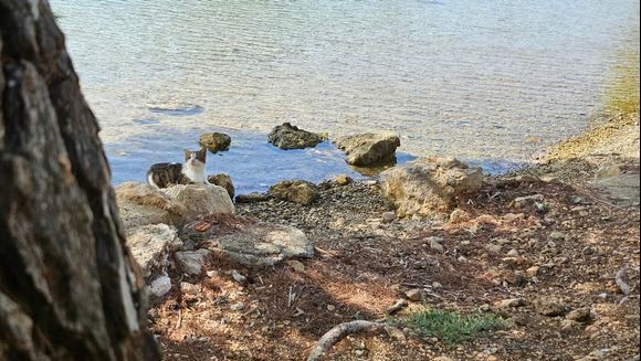 Lake Vouliagmeni - lake guard