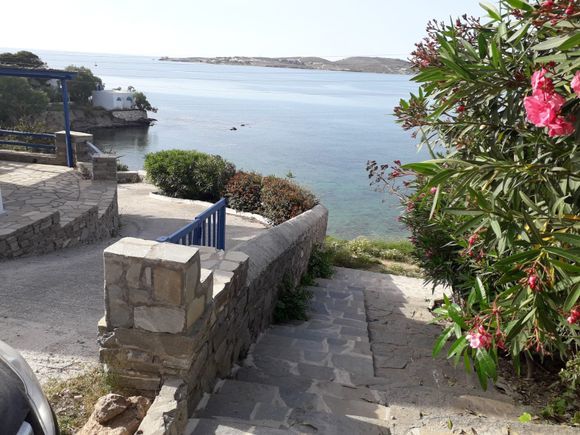 Paros