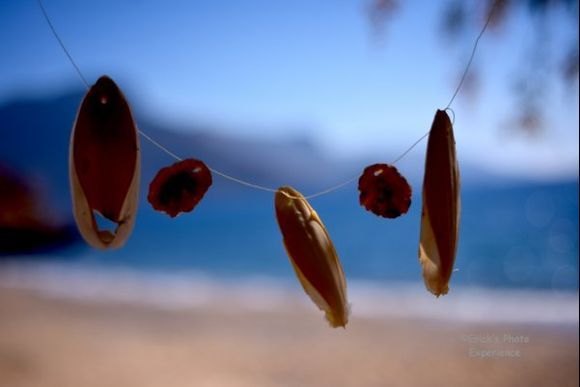 beach things hanging to dry.
kalymnos beaches