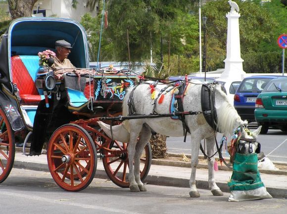 Aegina town horse carriage