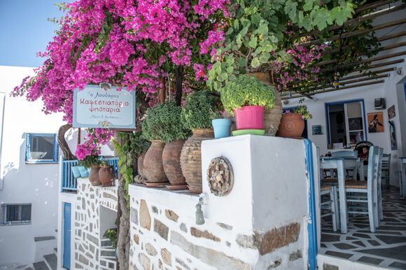In the alleys of Langkada you can find these delicious little restaurants where you can enjoy a fresh evening, with an ouzo, a raki or a mastika.