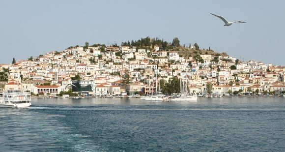 poros, a lot of seagull was following ferry