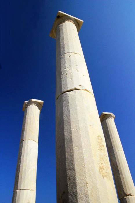 Soaring columns