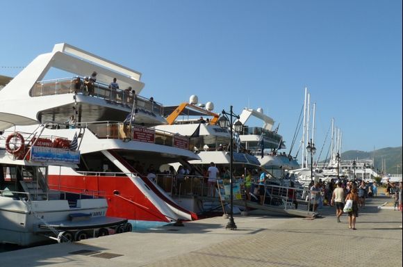 Harbour - daily cruises around the island