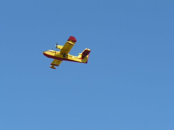 Fire fighters, August 2012