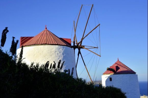 windmill  nr. 8