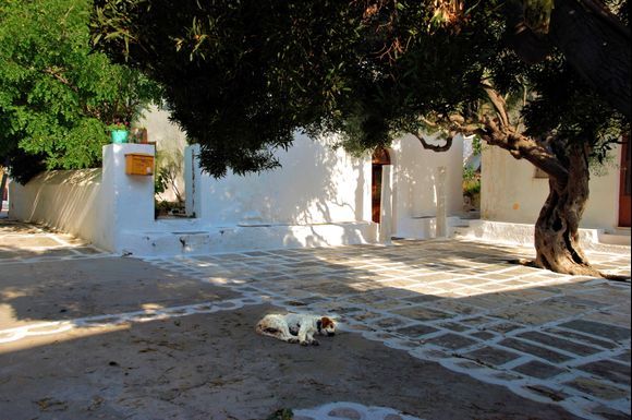 siesta in Panagia