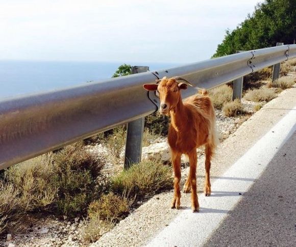 Mountain roads Kefalonia