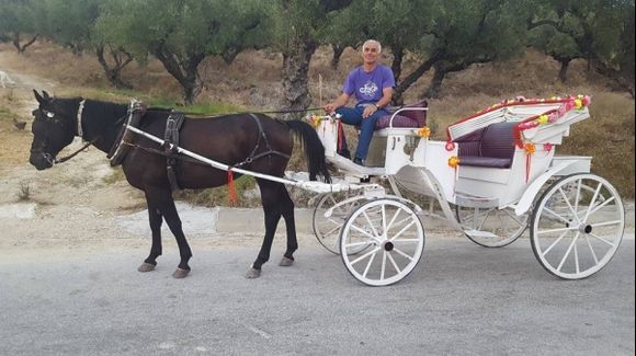 Horse and carriage taxi