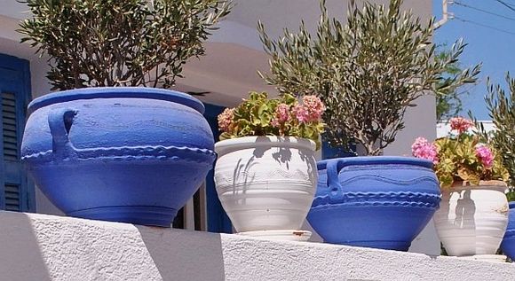 Pots in blue and white