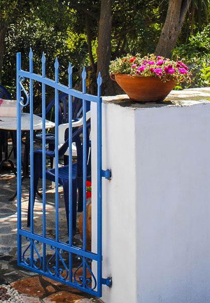 Gate and flower