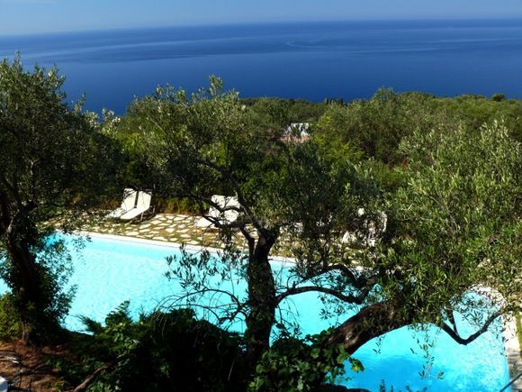 olive tree, pool, sea, sky ....