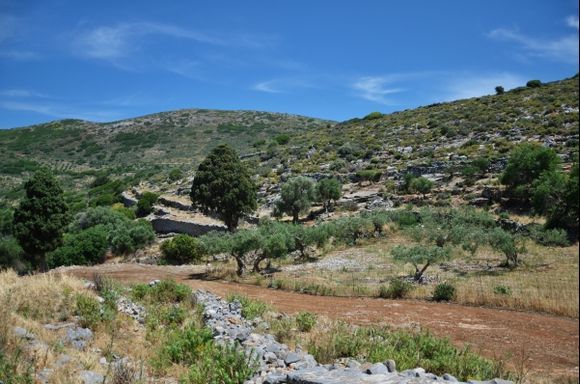 Cretan mountains and plains