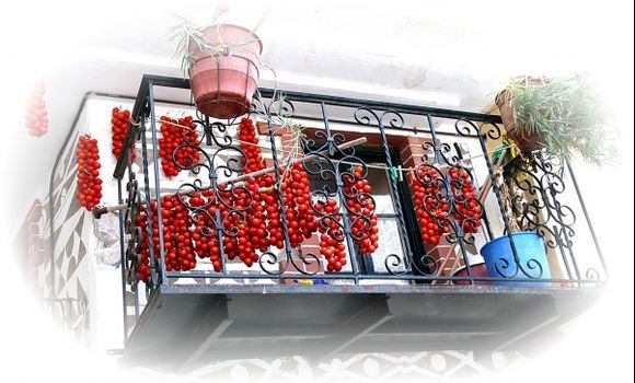 Chios drying tomatoes