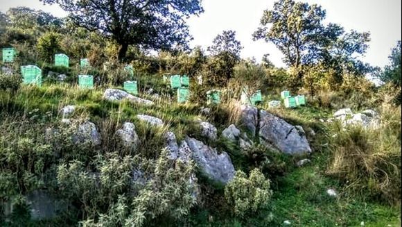 Beehives at Old Perithea, Corfu.