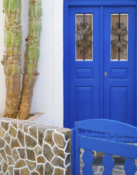 A cactus and a blue door