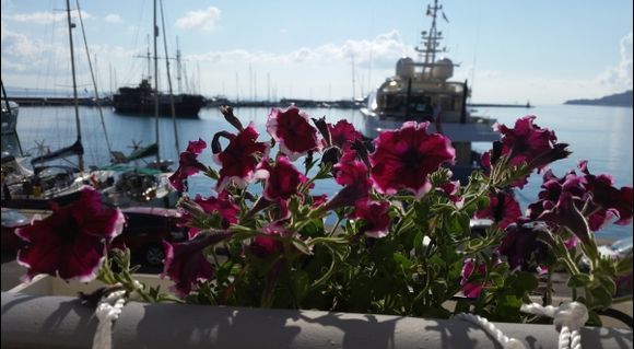 Zante quayside