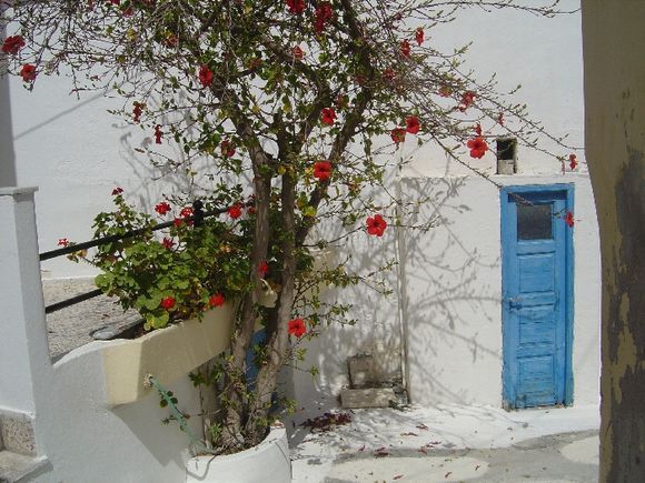 Greek colours at Diafani