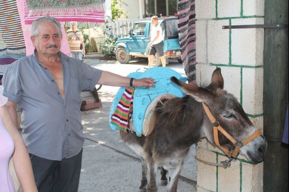 Zakynthos - A greek householder and his mule