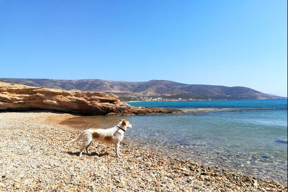 The secret's out! 🎆 
This is where the Greeka team members spent their summer holidays in Greece! 🇬🇷
https://blog.greeka.com/greece/greece-by-the-greeka-team/
P.S. We discovered the most awesome places! 😍
