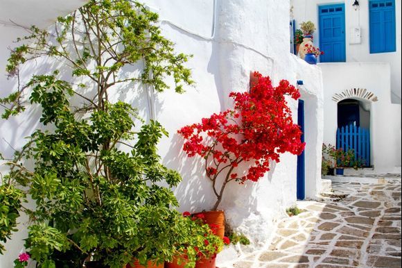 
Paros 😍
.
In this photo, we can admire the simplicity of the beautiful and unique Cycladic architecture! 💙 