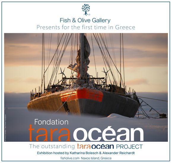 The Tara Ocean Project Exhibition is presented at Fish & Olive Gallery in Halki, Naxos. 
Opening day: July, 29th 2023
If you are in Naxos, don't miss the chance to visit and learn more about this fascinating marine environmental protection expedition.
Info: https://fisholive.com/tara-ocean-project-exhibition/