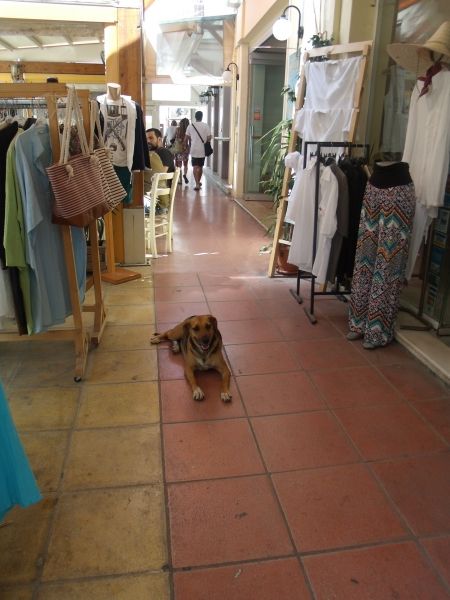 Main walk for shoppng of Aegina Town