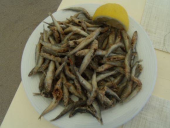 'Big-scale sand smelt' (Atherina boyeri), known by the common name of kingfish-the-Mediterranean...typical and...delicious!