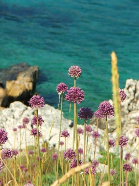 Kassiopi beach, Corfu