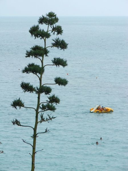 Lassi, Kefalonia