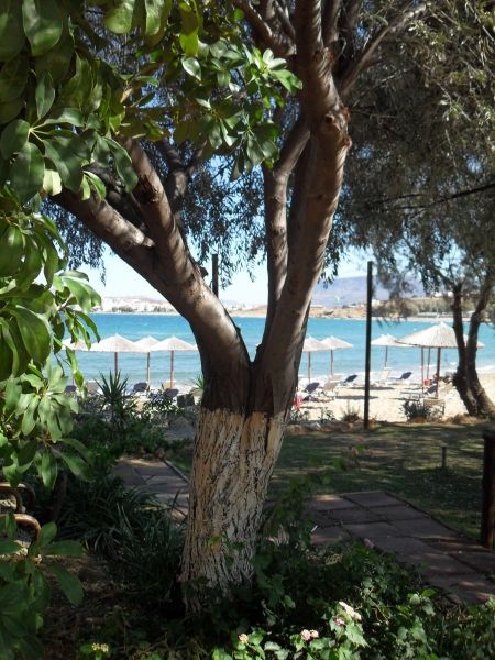 Behind the beach bar at Rethymno