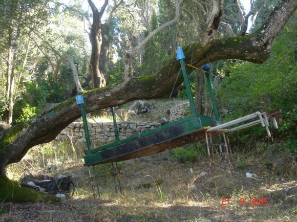 strange device hanging in tree at Myrtia, Kontogianatika, Paxos