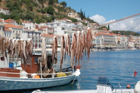 Octapus and Ouzo at the pictoresque harbour of Gythion
