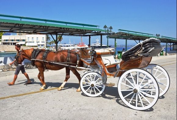 One of the beautiful horse-drawn carriages.