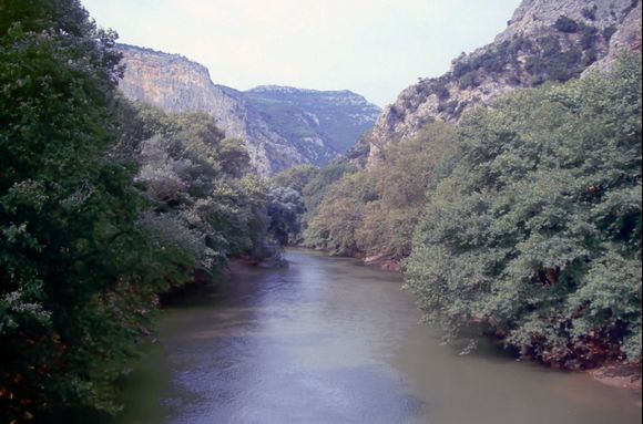 The valley of Tembi, Pinios river.