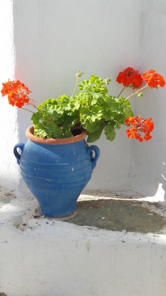 A beautiful flowerpot.