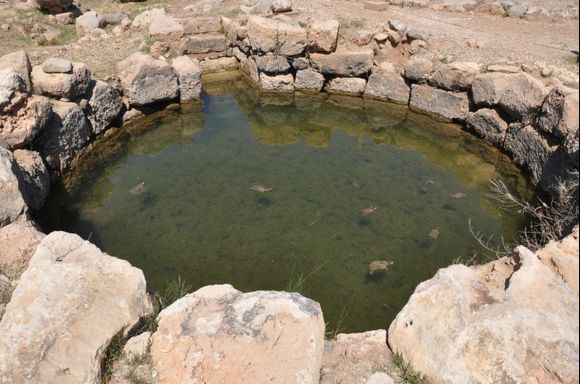 Minoian well in the old palace. Turtles are swimming in the water of the well