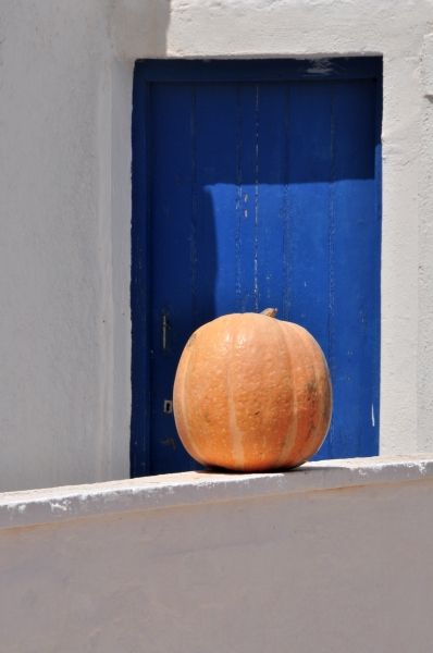 The lonely pumpkin.