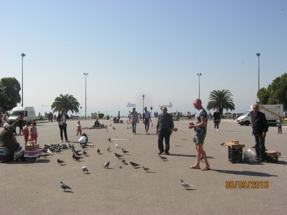 Duiven op het plein, boulevard, Thessaloniki