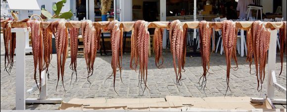 sunning the octopus...To order it is a delicacy and to eat is a delight