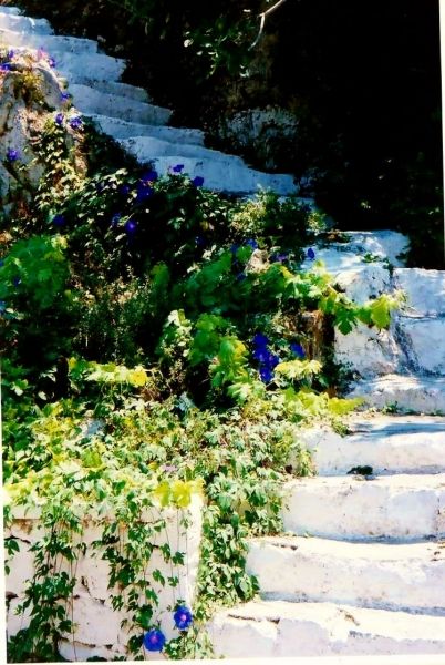 Stairway in Assos