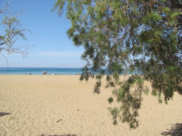 Malia beach