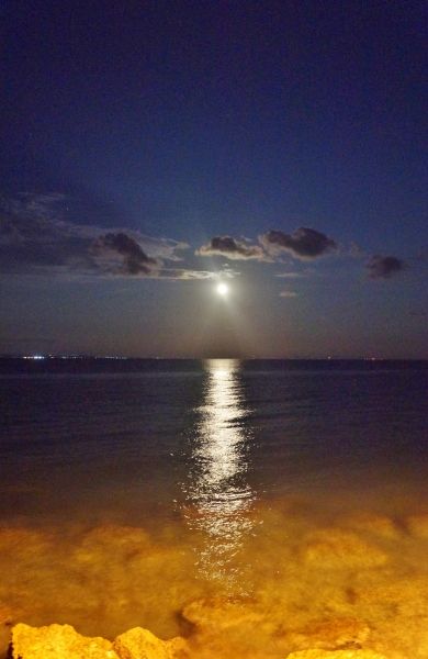 moonlit sea