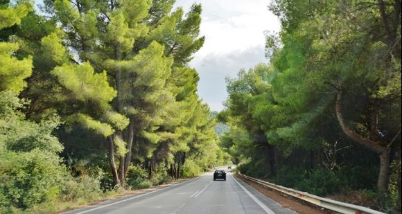 The road to Messenia
