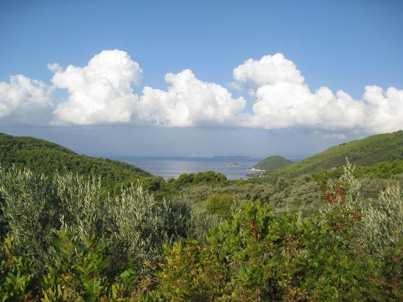 Panormos from Mourtero showing the rich vegetation.