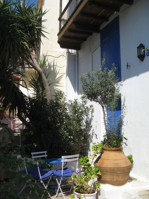 Cypress House in Skopelos Town.  this house is let out to visitors and has a lovely top level sitting room opening onto a balcony with the cypress tree growing in it.