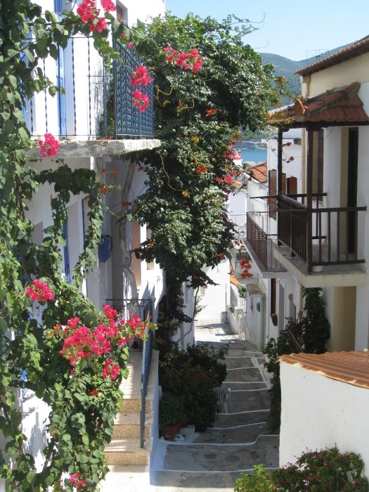 A colourful street in Skopelos Town