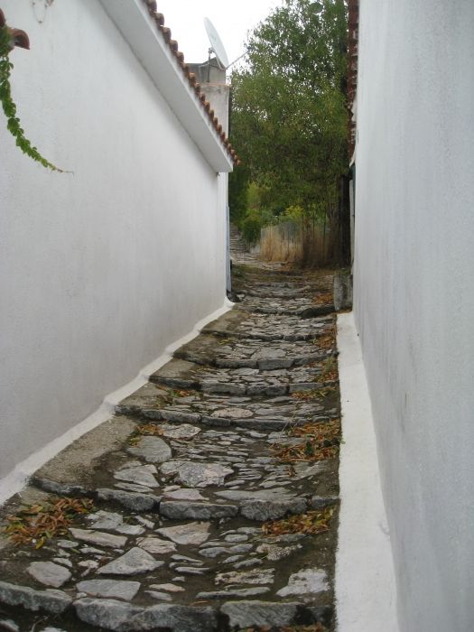 Steps in Paleo Klima.  There is a car-park by the village and cars can only get in a small way, so it is a very pleasant place to walk.  You can walk from her to Loutraki.