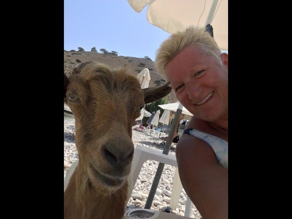 Goat selfie, Marathoutas Beach, Symi