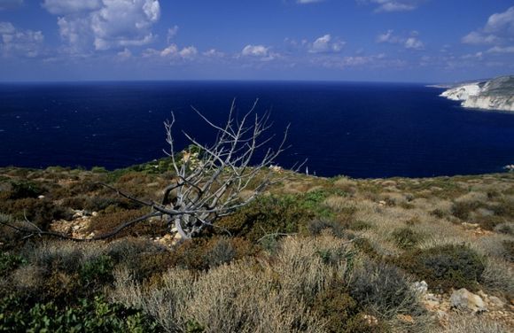 Landscape of Zakynthos